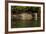 South America, Brazil, Pantanal Wetlands, Jaguar Preparing to Cross the Three Brothers River-Judith Zimmerman-Framed Photographic Print