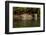 South America, Brazil, Pantanal Wetlands, Jaguar Preparing to Cross the Three Brothers River-Judith Zimmerman-Framed Photographic Print