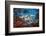 South America, Patagonia, Argentina, El Chalten, Mount Fitz Roy in Los Glaciares National Park-Christian Heeb-Framed Photographic Print