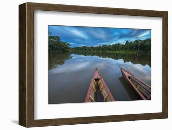 South America, Peru, Amazonia, Manu National Park, UNESCO World Heritage-Christian Heeb-Framed Photographic Print