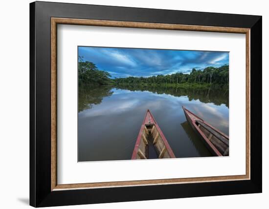 South America, Peru, Amazonia, Manu National Park, UNESCO World Heritage-Christian Heeb-Framed Photographic Print