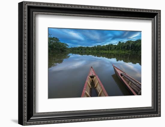 South America, Peru, Amazonia, Manu National Park, UNESCO World Heritage-Christian Heeb-Framed Photographic Print