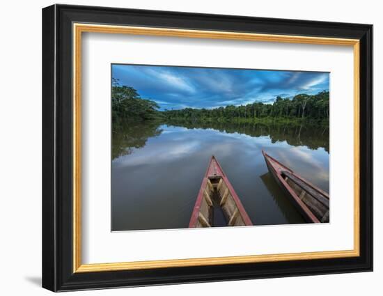 South America, Peru, Amazonia, Manu National Park, UNESCO World Heritage-Christian Heeb-Framed Photographic Print