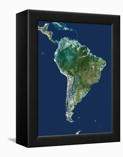 South America, Satellite Image-PLANETOBSERVER-Framed Premier Image Canvas