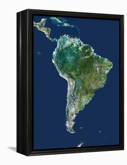 South America, Satellite Image-PLANETOBSERVER-Framed Premier Image Canvas