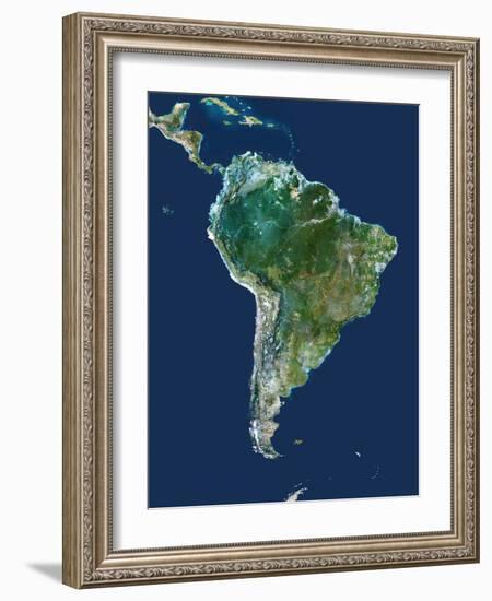 South America, Satellite Image-PLANETOBSERVER-Framed Photographic Print