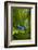 South America, Suriname. Blue dart frog on leaf.-Jaynes Gallery-Framed Photographic Print