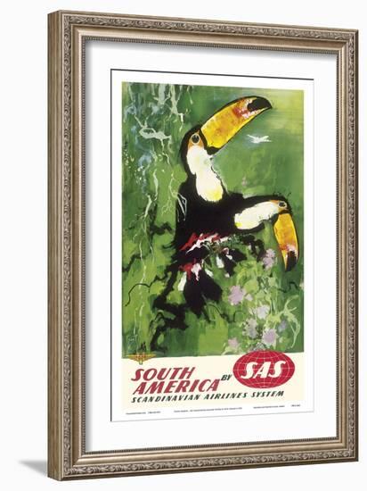 South America - Tocu Toucans - SAS Scandinavian Airlines System-Otto Nielsen-Framed Art Print