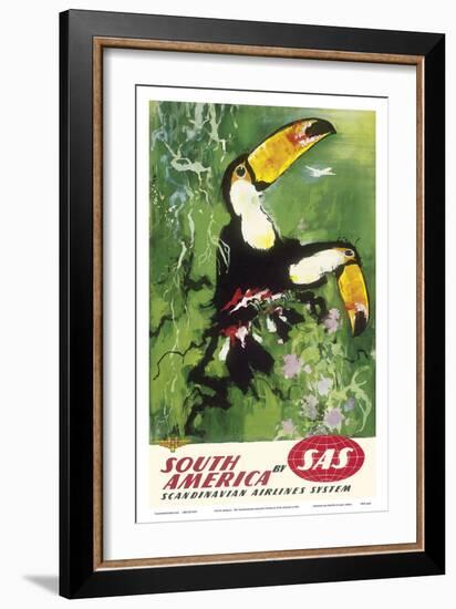 South America - Tocu Toucans - SAS Scandinavian Airlines System-Otto Nielsen-Framed Art Print