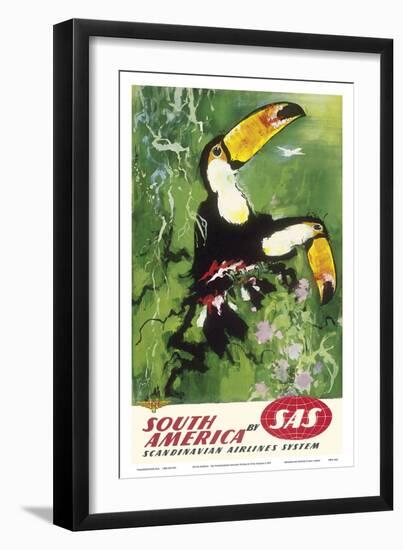 South America - Tocu Toucans - SAS Scandinavian Airlines System-Otto Nielsen-Framed Art Print