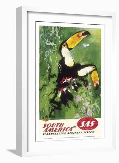 South America - Tocu Toucans - SAS Scandinavian Airlines System-Otto Nielsen-Framed Art Print