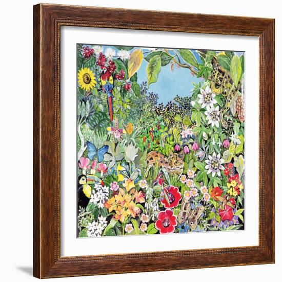 South American Cat-Hilary Jones-Framed Giclee Print