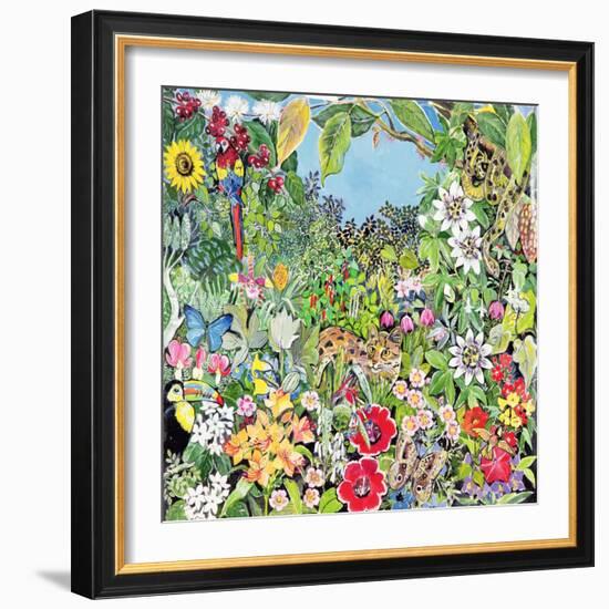 South American Cat-Hilary Jones-Framed Giclee Print