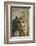 South American gray fox (Lycalopex griseus), Patagonia, Argentina-David Wall-Framed Photographic Print