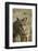 South American gray fox (Lycalopex griseus), Patagonia, Argentina-David Wall-Framed Photographic Print