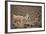 South American Llama-zanskar-Framed Photographic Print