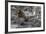 South American Sea Lion Bull (Otaria Flavescens) at Breeding Colony Just Outside Ushuaia, Argentina-Michael Nolan-Framed Photographic Print