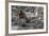 South American Sea Lion Bull (Otaria Flavescens) at Breeding Colony Just Outside Ushuaia, Argentina-Michael Nolan-Framed Photographic Print