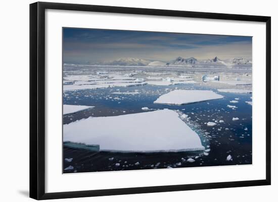 South Antarctic Circle, Near Adelaide Island. the Gullet. Ice Floes-Inger Hogstrom-Framed Photographic Print