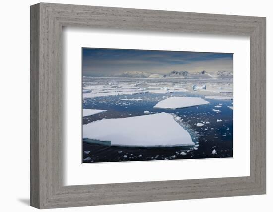 South Antarctic Circle, Near Adelaide Island. the Gullet. Ice Floes-Inger Hogstrom-Framed Photographic Print