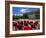 South Australia Parliament Building, Adelaide, South Australia, Australia-Neale Clarke-Framed Photographic Print