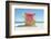 South Beach Lifeguard Chair 13th Street-Richard Silver-Framed Photographic Print