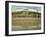 South Beach, Tenby, Pembrokeshire, Wales, United Kingdom, Europe-Richardson Rolf-Framed Photographic Print