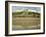 South Beach, Tenby, Pembrokeshire, Wales, United Kingdom, Europe-Richardson Rolf-Framed Photographic Print