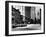 South Broad Sheep, Philadelphia, Pennsylvania-null-Framed Photo