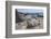 South Cape Town, Simon's Town. African Penguins at Foxy Beach-Cindy Miller Hopkins-Framed Photographic Print