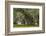 South Carolina, Ace Basin NWR. Spanish Moss on Oak Trees-Don Paulson-Framed Photographic Print