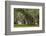 South Carolina, Ace Basin NWR. Spanish Moss on Oak Trees-Don Paulson-Framed Photographic Print