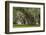 South Carolina, Ace Basin NWR. Spanish Moss on Oak Trees-Don Paulson-Framed Photographic Print