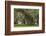 South Carolina, Ace Basin NWR. Spanish Moss on Oak Trees-Don Paulson-Framed Photographic Print