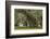 South Carolina, Ace Basin NWR. Spanish Moss on Oak Trees-Don Paulson-Framed Photographic Print