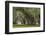 South Carolina, Ace Basin NWR. Spanish Moss on Oak Trees-Don Paulson-Framed Photographic Print