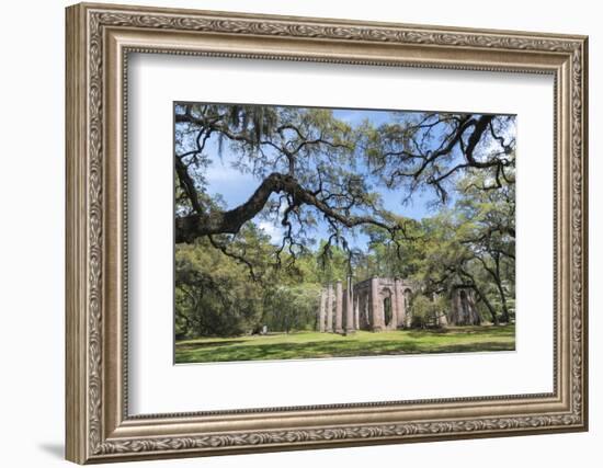 South Carolina, Beaufort County, Old Sheldon Church-Jim Engelbrecht-Framed Photographic Print