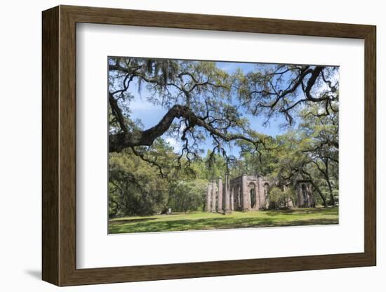 South Carolina, Beaufort County, Old Sheldon Church-Jim Engelbrecht-Framed Photographic Print