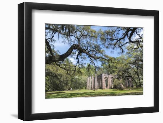 South Carolina, Beaufort County, Old Sheldon Church-Jim Engelbrecht-Framed Photographic Print