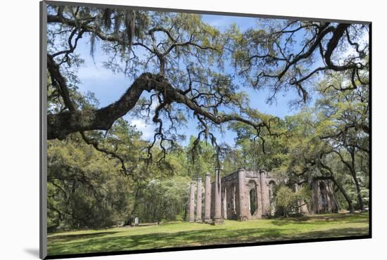 South Carolina, Beaufort County, Old Sheldon Church-Jim Engelbrecht-Mounted Photographic Print