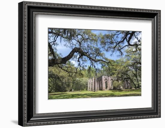 South Carolina, Beaufort County, Old Sheldon Church-Jim Engelbrecht-Framed Photographic Print