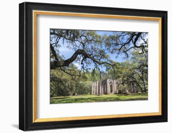 South Carolina, Beaufort County, Old Sheldon Church-Jim Engelbrecht-Framed Photographic Print