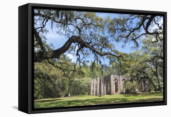 South Carolina, Beaufort County, Old Sheldon Church-Jim Engelbrecht-Framed Premier Image Canvas