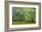 South Carolina, Charleston, Edisto Beach SP. Oak Trees Next to Swamp-Don Paulson-Framed Photographic Print