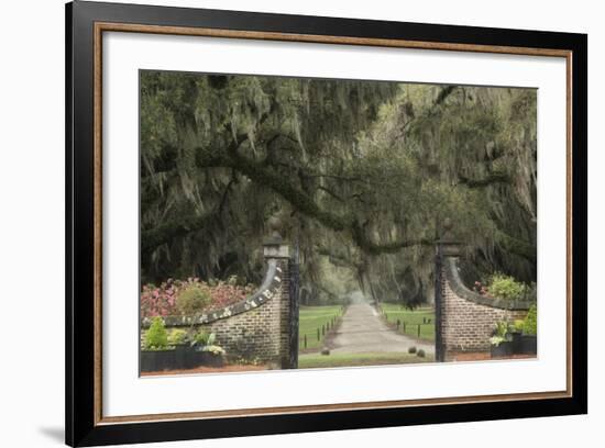 South Carolina, Charleston. Entrance to Boone Hall Plantation-Jaynes Gallery-Framed Photographic Print