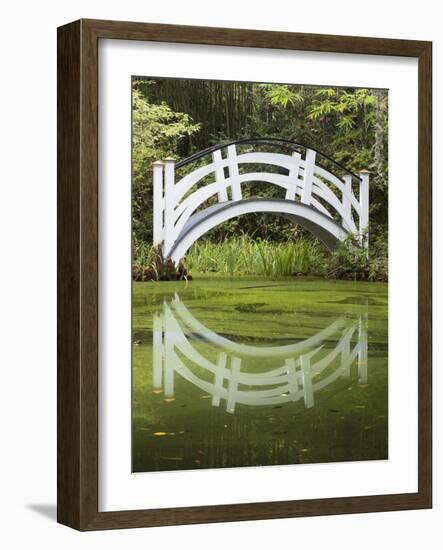 South Carolina, Charleston, Magnolia Plantation. Arching Bridge-Don Paulson-Framed Photographic Print