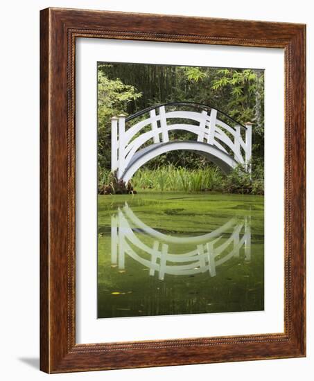 South Carolina, Charleston, Magnolia Plantation. Arching Bridge-Don Paulson-Framed Photographic Print