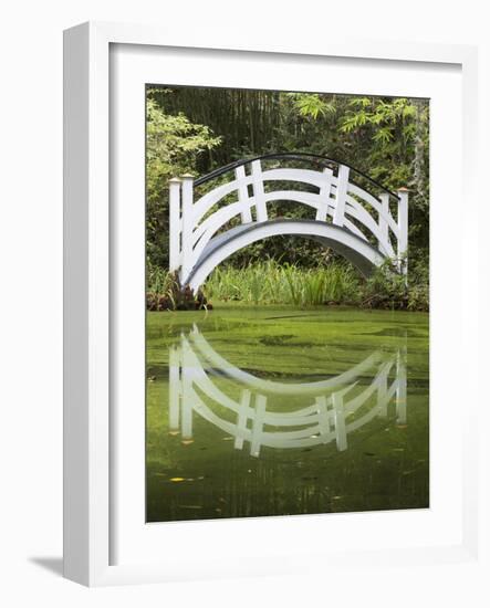 South Carolina, Charleston, Magnolia Plantation. Arching Bridge-Don Paulson-Framed Photographic Print