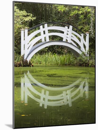 South Carolina, Charleston, Magnolia Plantation. Arching Bridge-Don Paulson-Mounted Photographic Print