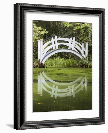 South Carolina, Charleston, Magnolia Plantation. Arching Bridge-Don Paulson-Framed Photographic Print